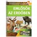 Emlősök az erdőben